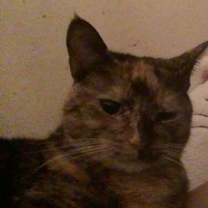 Meet your Posher, Skylar